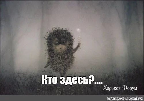 9938f8781c4322c1b.webp