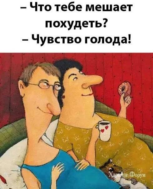 99393afa15aafd83b.webp