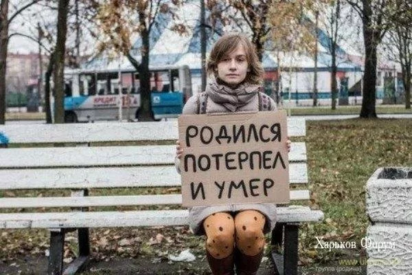 9946498bace585abf55.webp