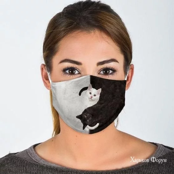 99634b004429a58c3970b708.webp