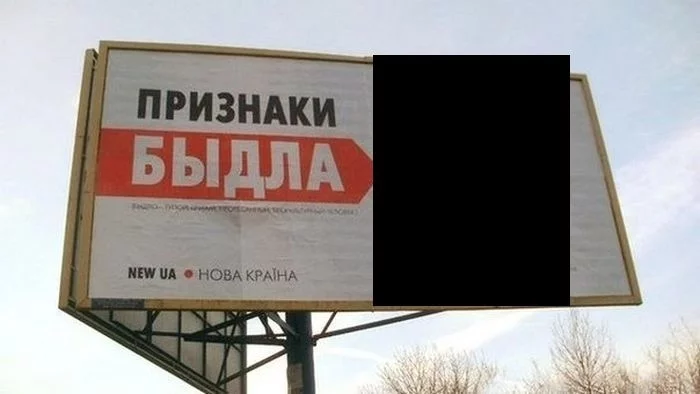 99674808_1.webp