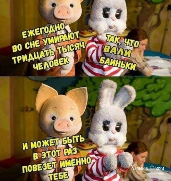 996a66ed9c26f8d8.webp