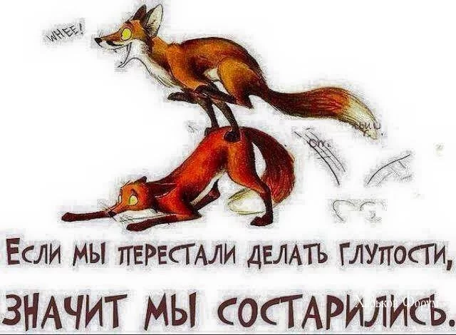 9970ca67cc5a51f418dcf76e.webp