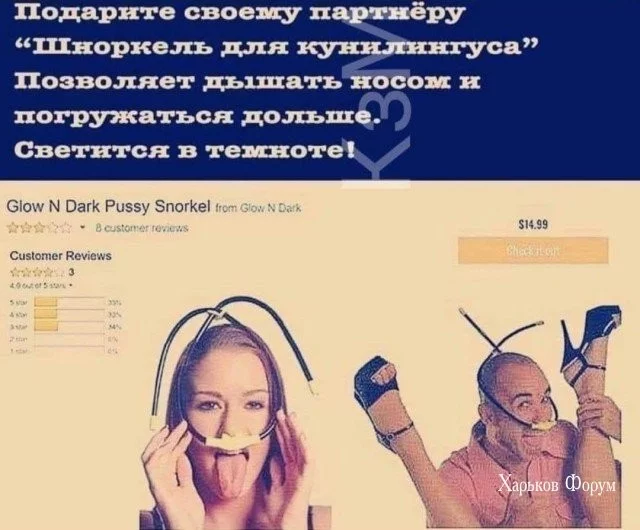 9976ead22a602a70ade9.webp