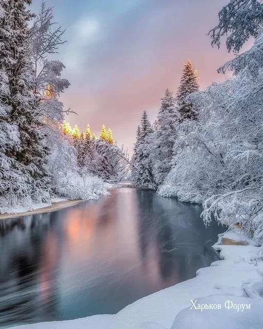 997c4b4c218c9e1faa58bf.webp