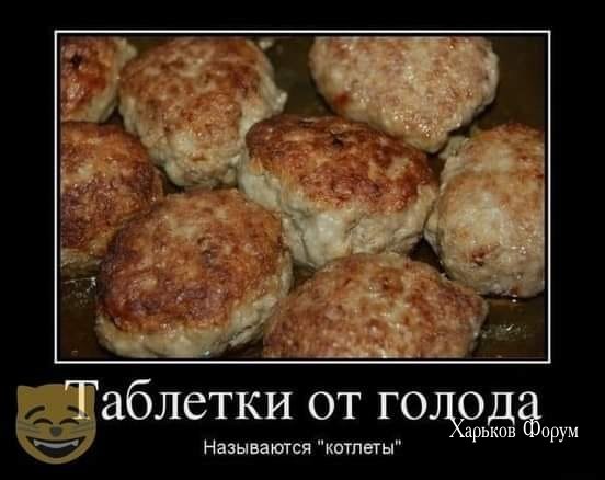99867878bd461760afc38109.jpg