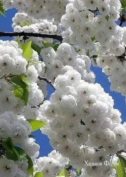 9986c0058270fa4a01056.webp