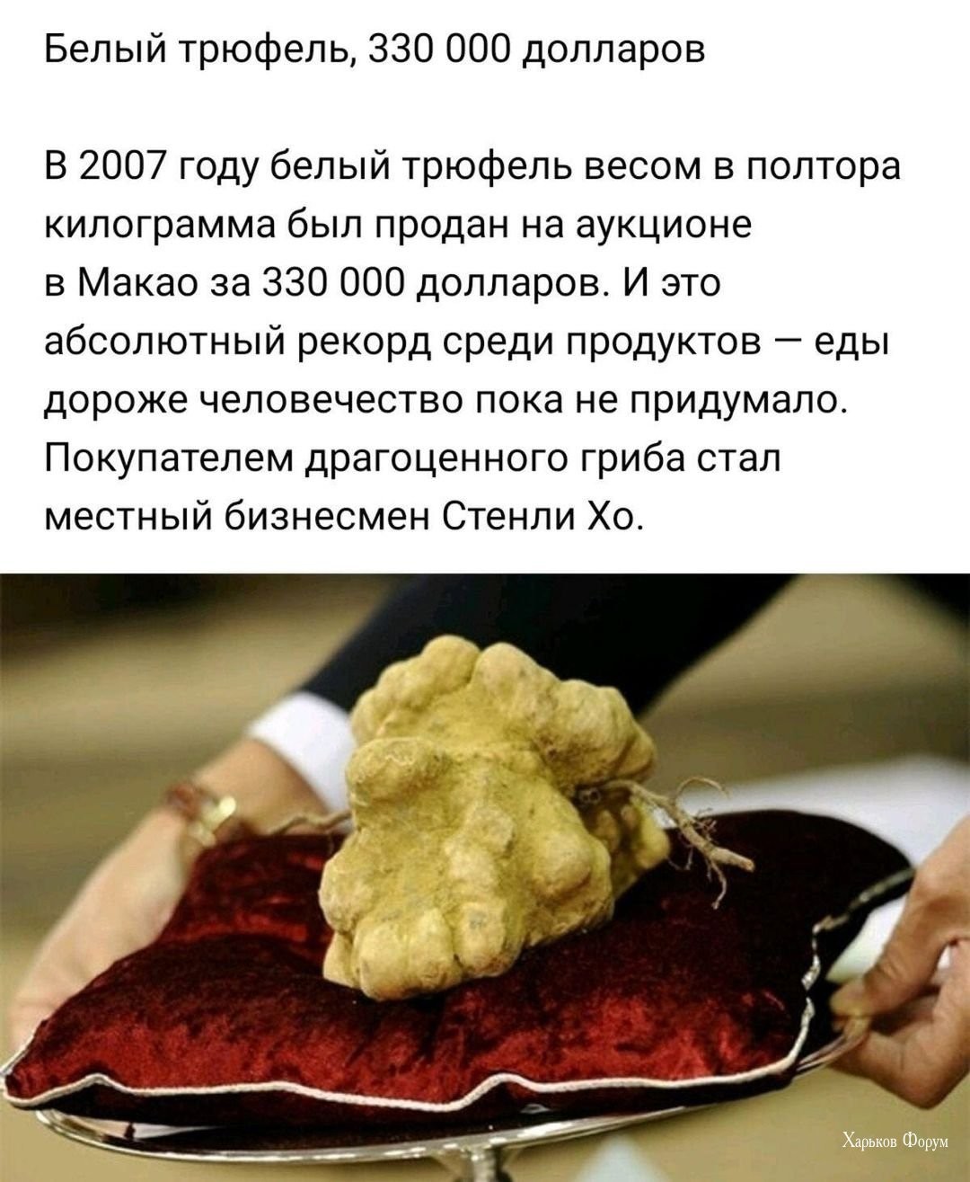 9997fc98cdc59d9dcbd527.jpg