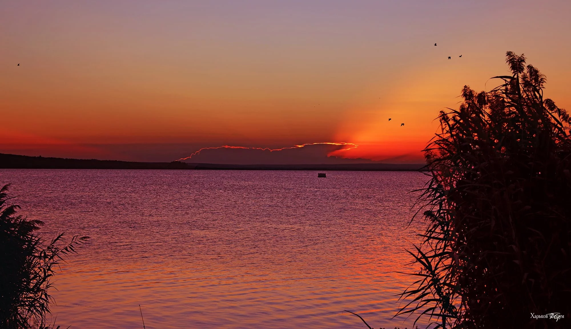 99a6ab7af16fd3ab5.webp