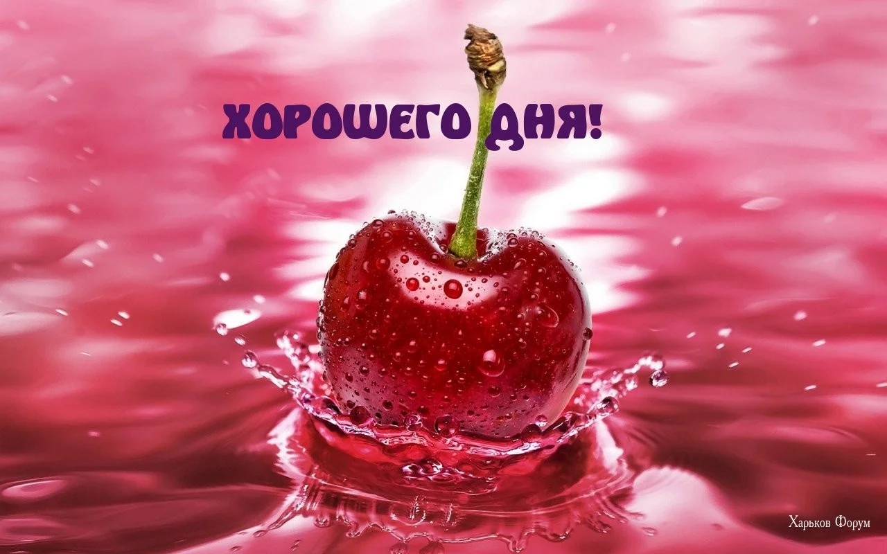 99d35456221328f59.webp
