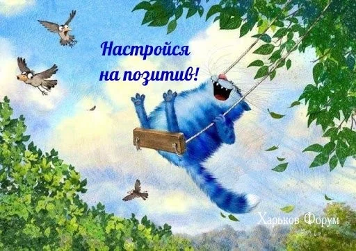 99d9b5010411fbdf.webp
