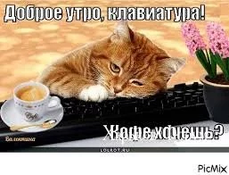 99dbf964e9c3ad5cf08fb55.webp