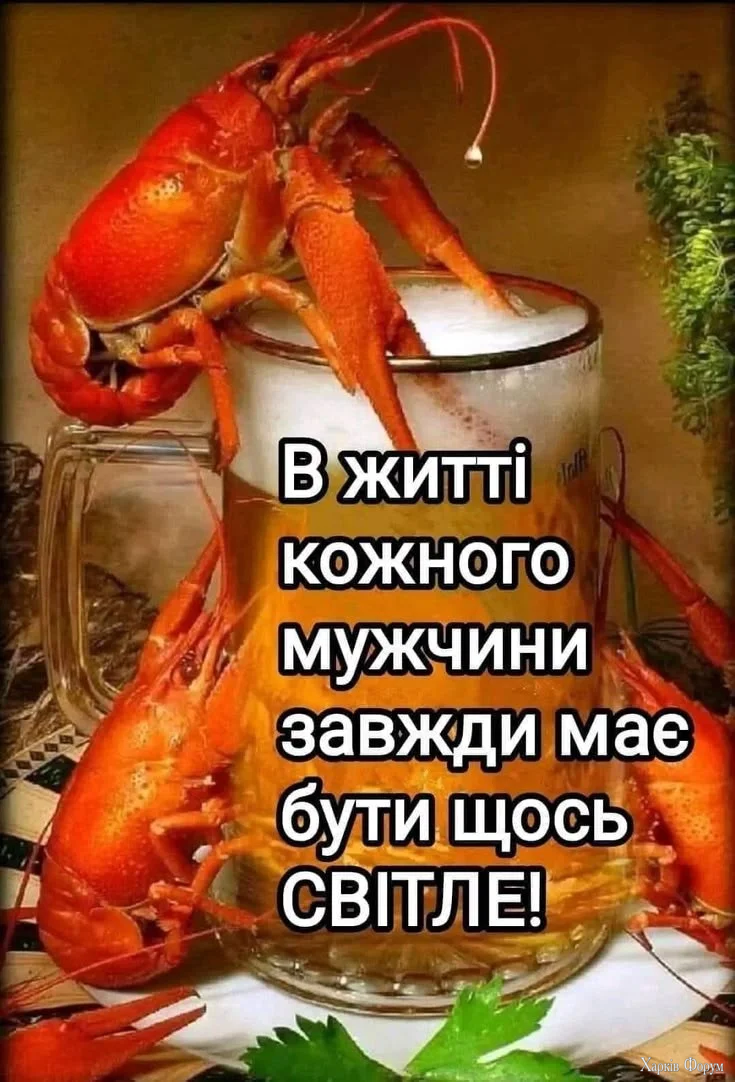 99ef9272c8766571cdde9af3cdc7a5e1.webp
