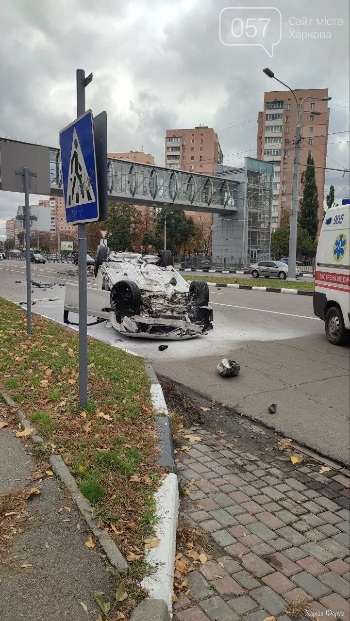 9_68efa59da605c.webp