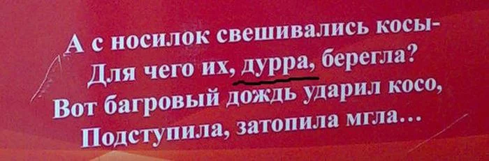 9_may_10.webp
