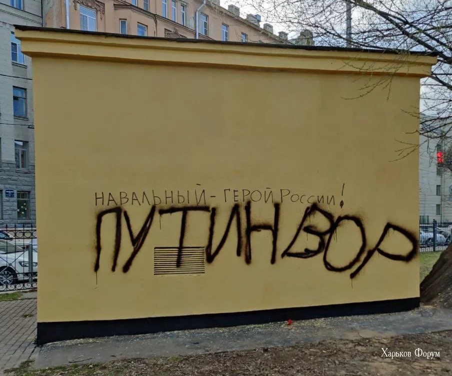 9a11280be6d3a06f4e.webp