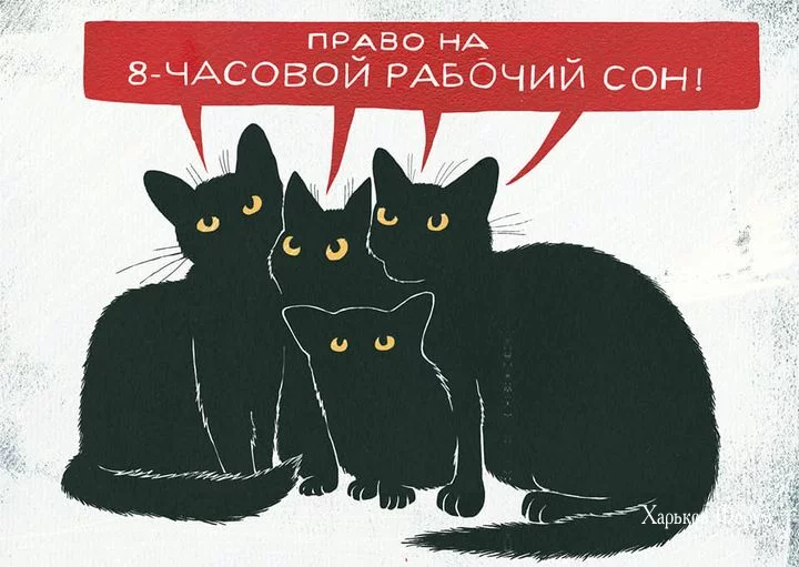 9a1242b01d6bf024.webp