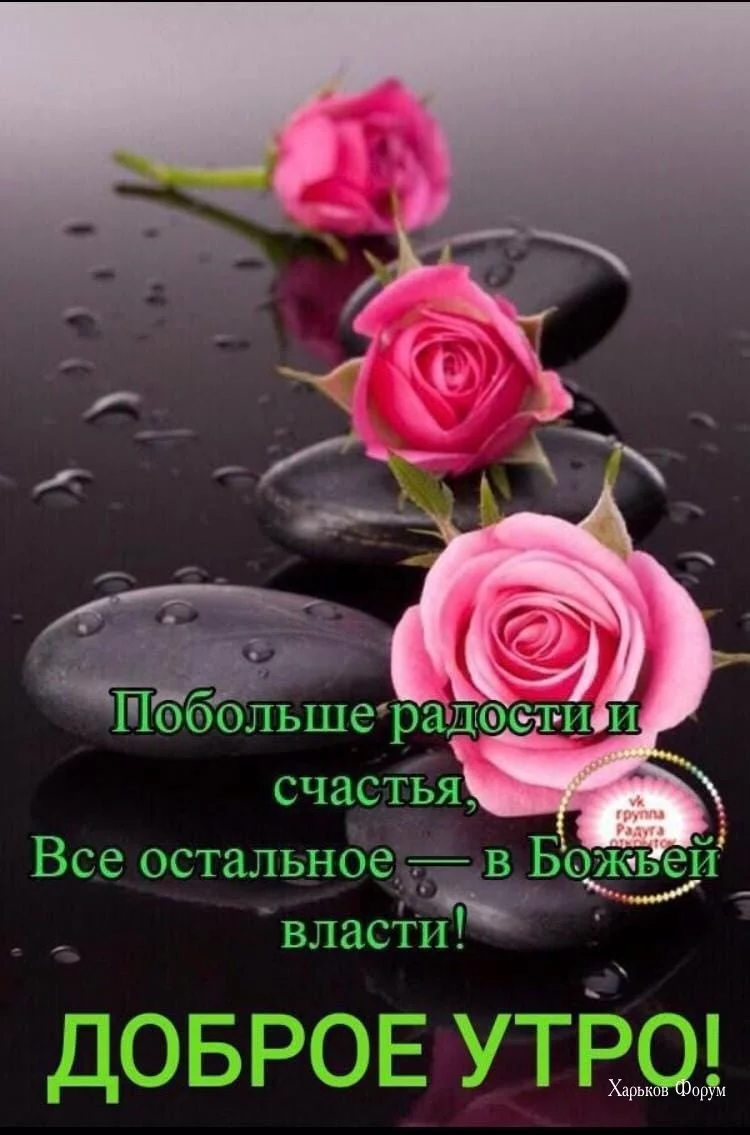 9a17e10e71e7f3b97.webp
