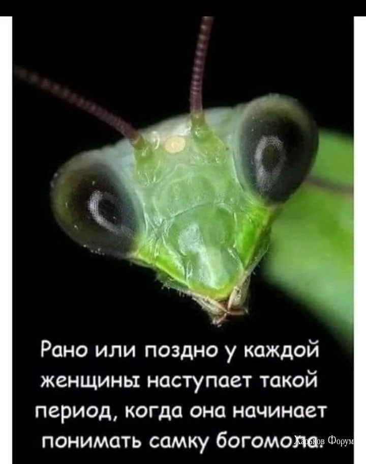 9a290a9dbe5877993b41.webp