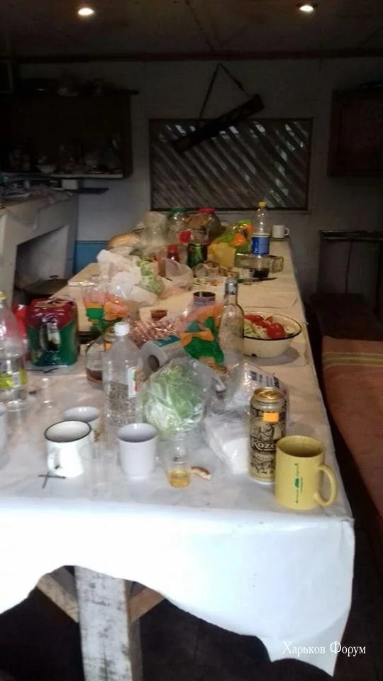9a5c600d4c59c03360528.webp