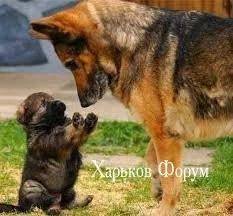 9a7209b18192c99ad6cf144.webp