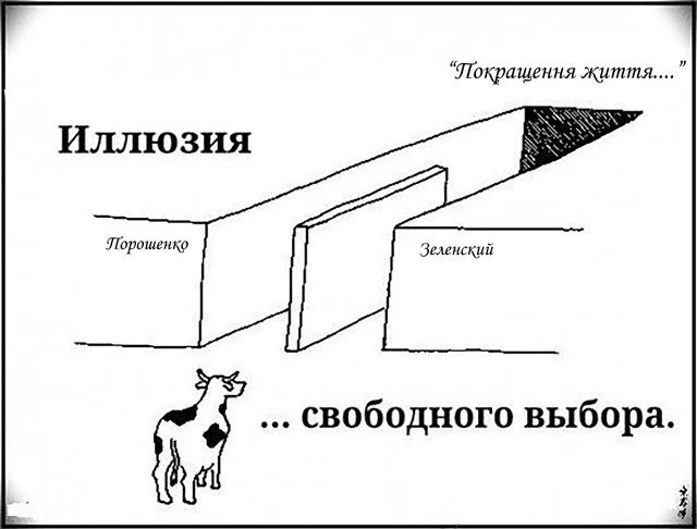 9a82549d4b1c39455b1b.webp
