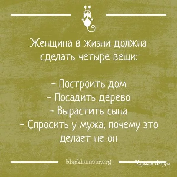 9a9e5a7d91e411175f3e11.webp