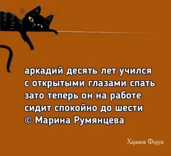 9aa071c081fd64958465d0.webp
