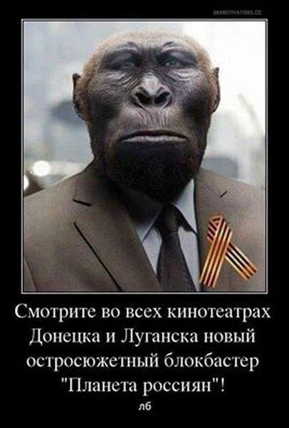 9aacee.webp