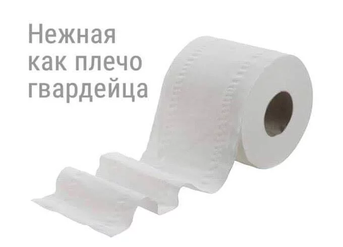 9aafad.webp