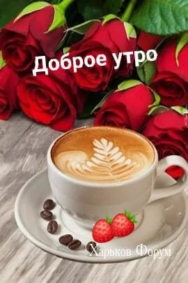 9ab0dbdc53c40fde8a.webp