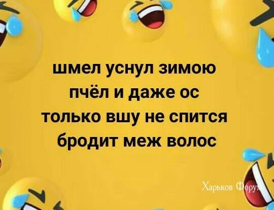 9ab4861d1e6b185f6.webp
