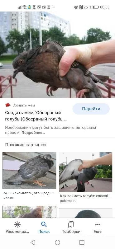 9ac82870475765819eaa352f.webp