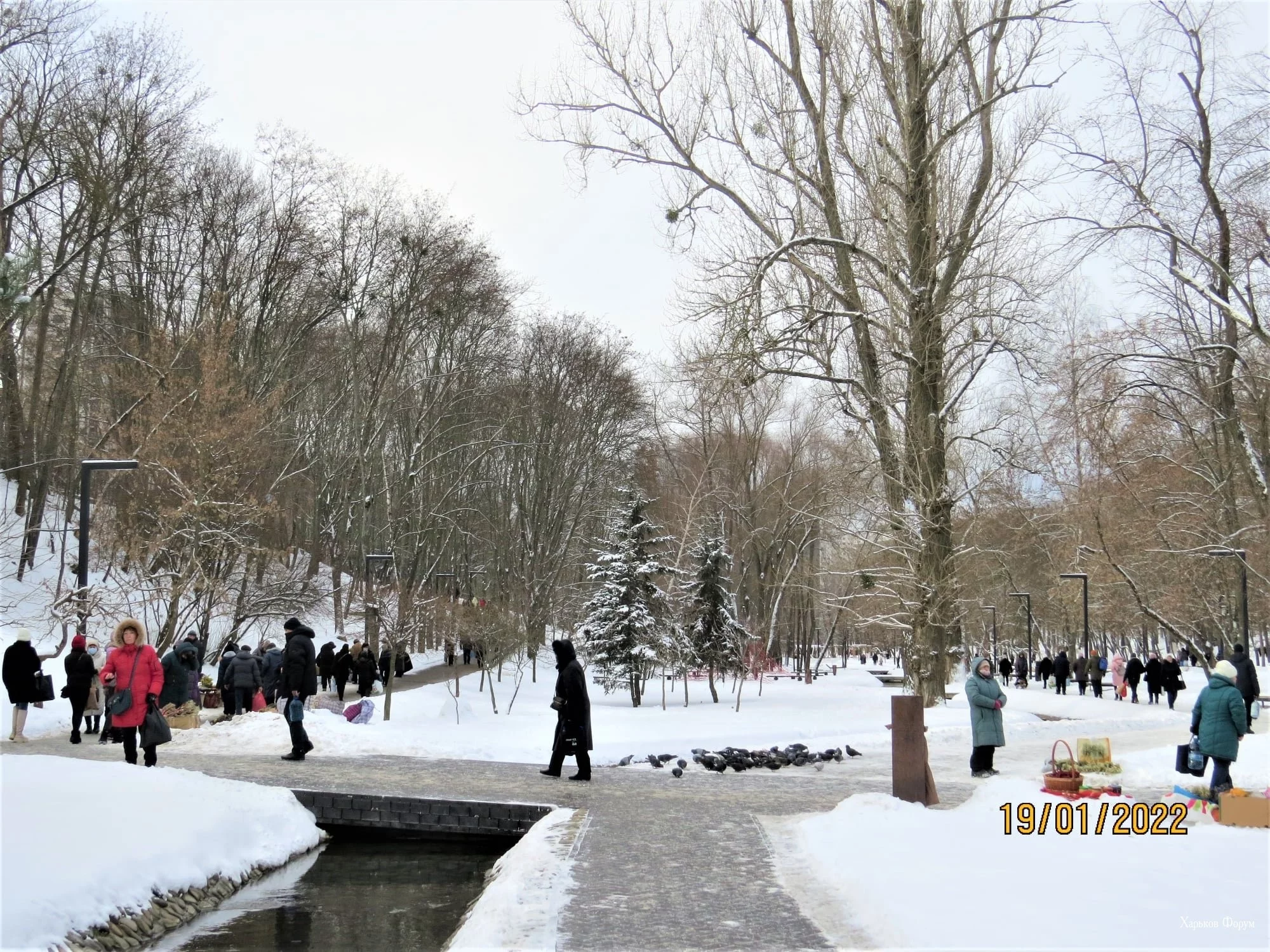 9acf615d0bc325522378c.webp