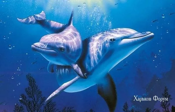 9ad39151ac78df3508.webp
