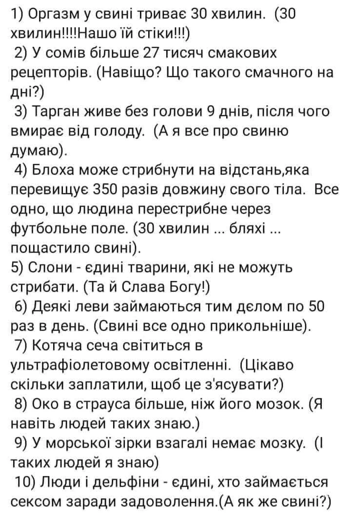 9ad5a9743cfc61f6476.webp