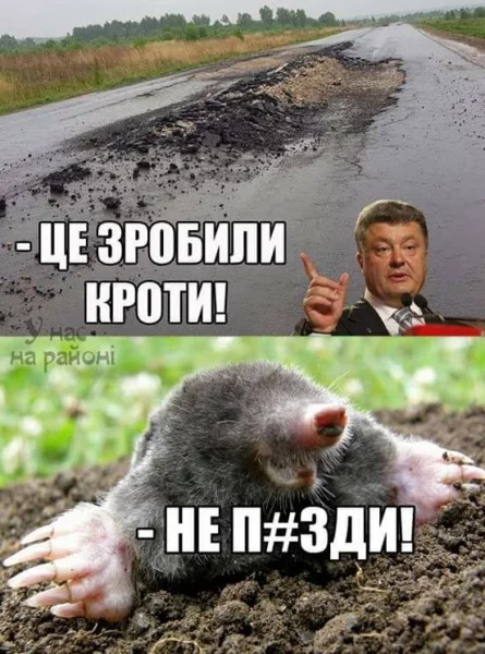 9aeacf.webp