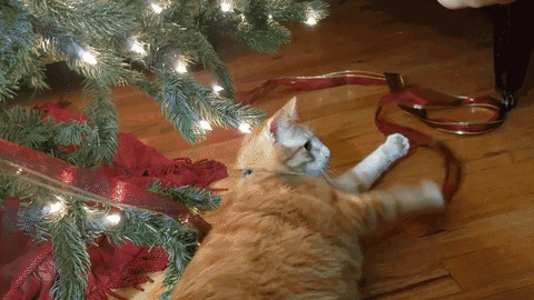 9af93ba2a02210c51ac113b7.gif