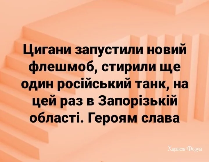 9afa1134843c7dd76e2cd.webp