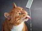 9agjge.webp