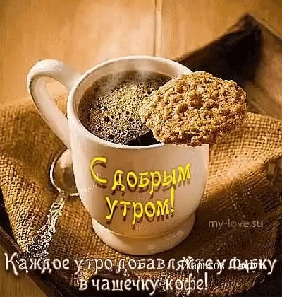 9b00f06fe5443a5f1af54b.webp