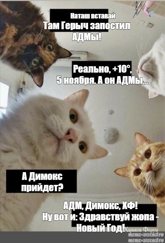 9b128733590cd25e98db3.jpg
