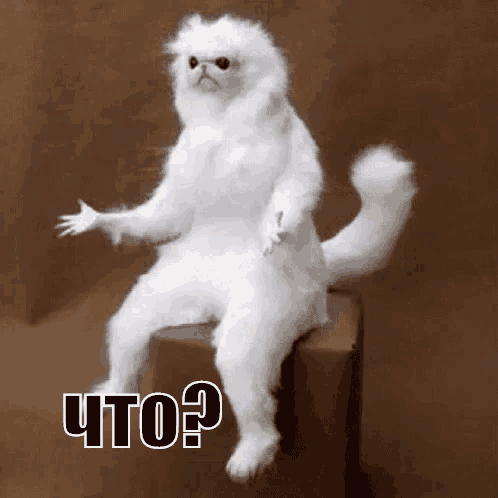 9b1e9fc1ca9973148cc93.gif