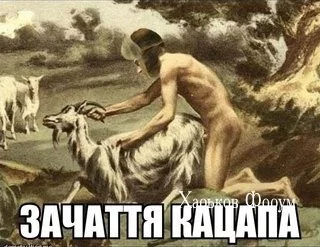 9b284e59ea68b7df5fef4abd.webp