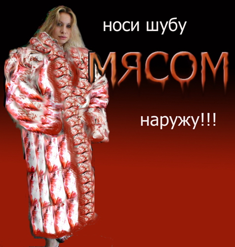 9b2e6f9dc1f8b654cd52af35864e2983.jpg