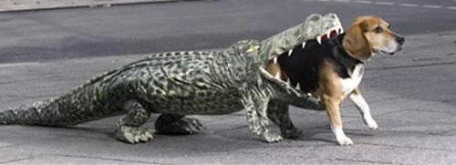 9b368.webp