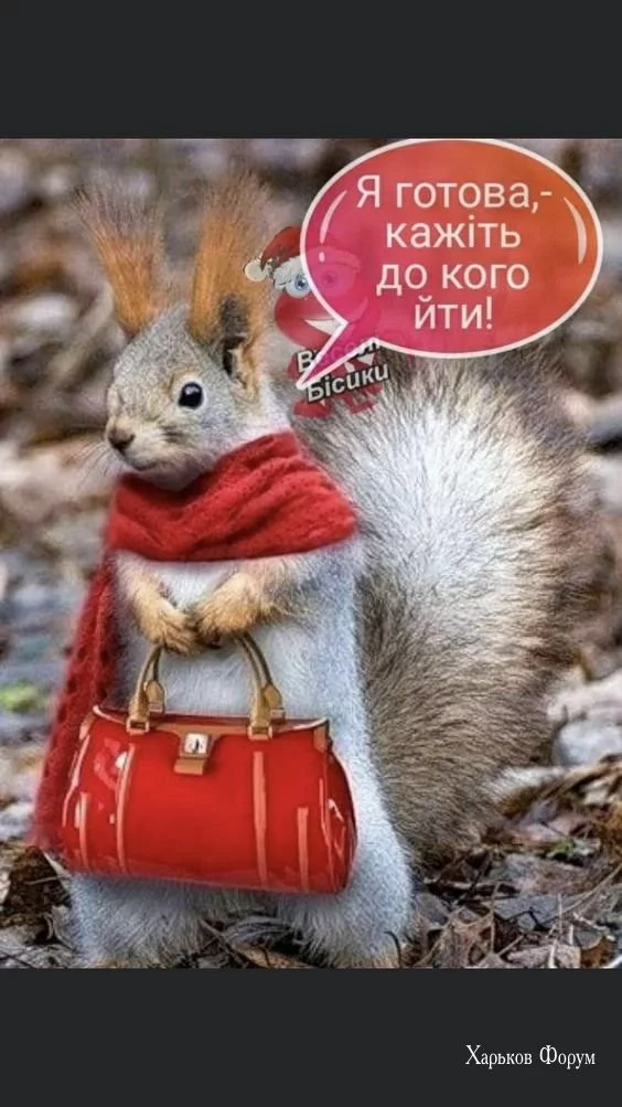 9b3c2bd82bf28d19dde70.webp