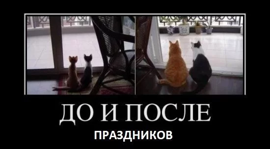 9b48ef9e9fd0df.webp