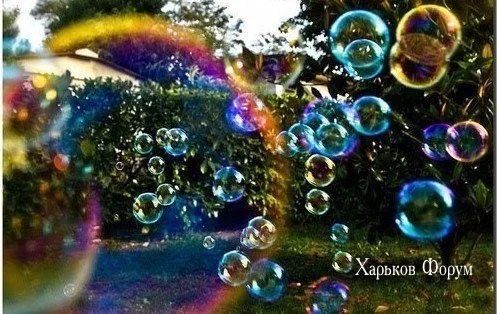 9b5119b425e82ab1d37973e8.webp