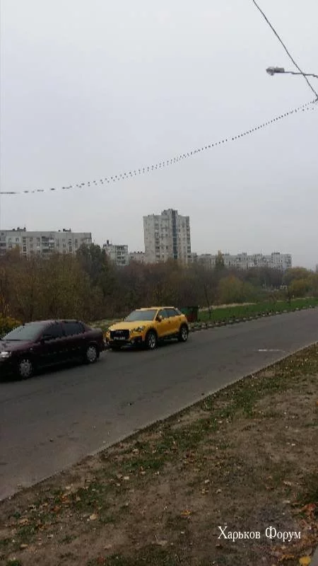 9b65a1c7d603ea19496c7.webp
